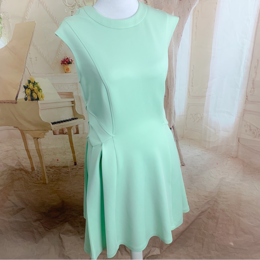 Ted Baker NISTEE SIDE PLEAT WOMEN'S SKATER DRESS PALE GREEN - Picture 5 of 12